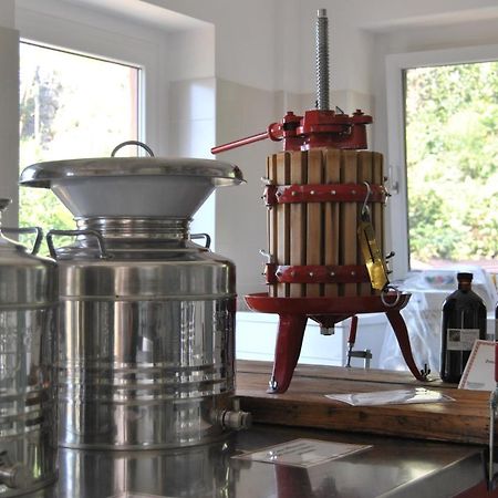 Bed and Breakfast Ca' Dei Fazzilisti Mori Esterno foto